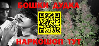 тгк Канаш