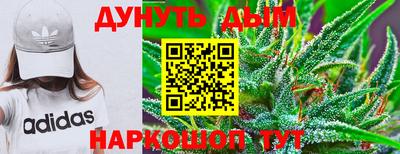 тгк Канаш