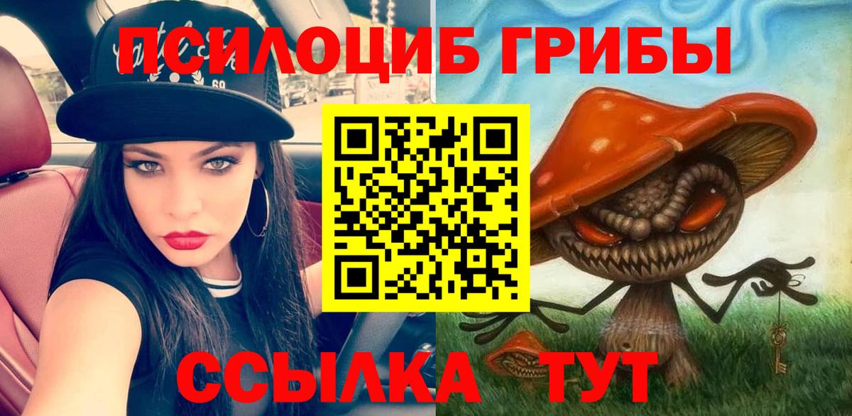 купить наркоту  Вход с VPN  Кумертау  Галлюциногенные грибы MAGIC MUSHROOMS 